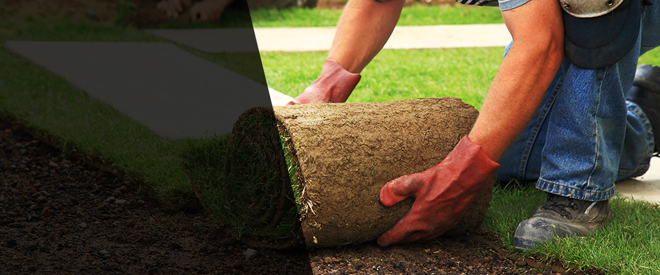 Avon Lake Landscapers